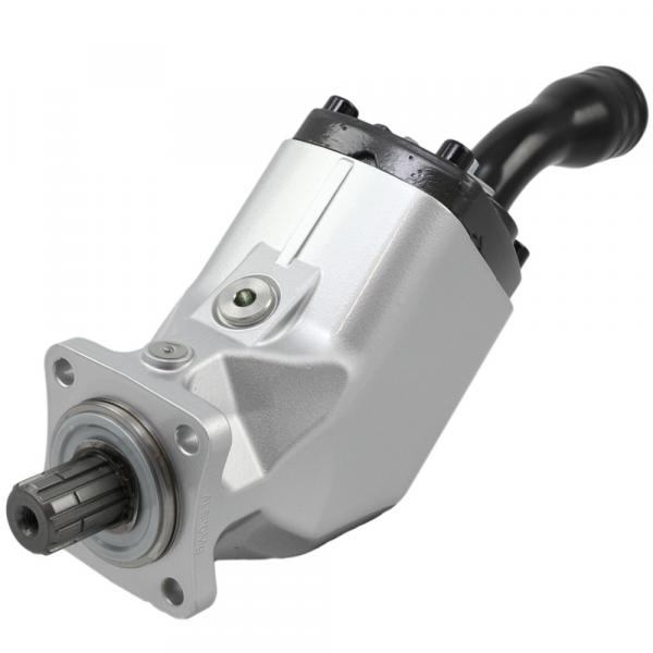 PFGXP-142/D  pump Atos PFGX Series Gear Imported original #1 image