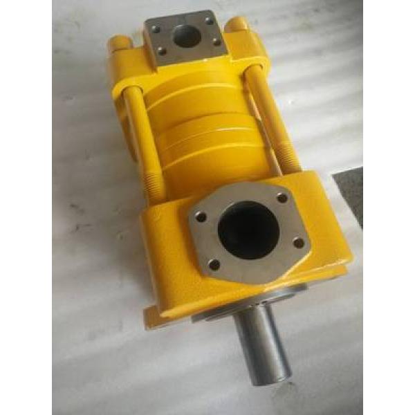 pump SUMITOMO QT23 Series Gear Pump QT23-8E-A #1 image