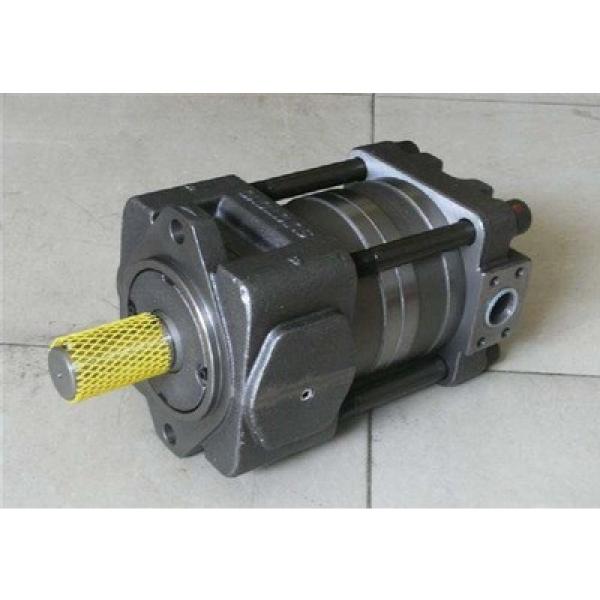 pump SUMITOMO QT23 Series Gear Pump QT23-6.3L-A #1 image