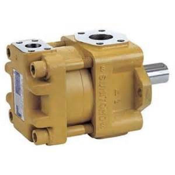 pump SUMITOMO QT23 Series Gear Pump QT23-5E-A #1 image