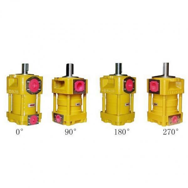 SUMITOMO Imported original Series Gear Pump QT22-4E-A #1 image