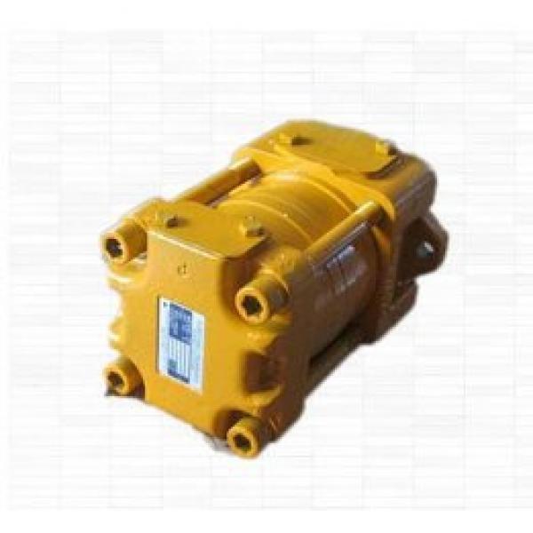 pump SUMITOMO QT23 Series Gear Pump QT23-6.3L-A #1 image