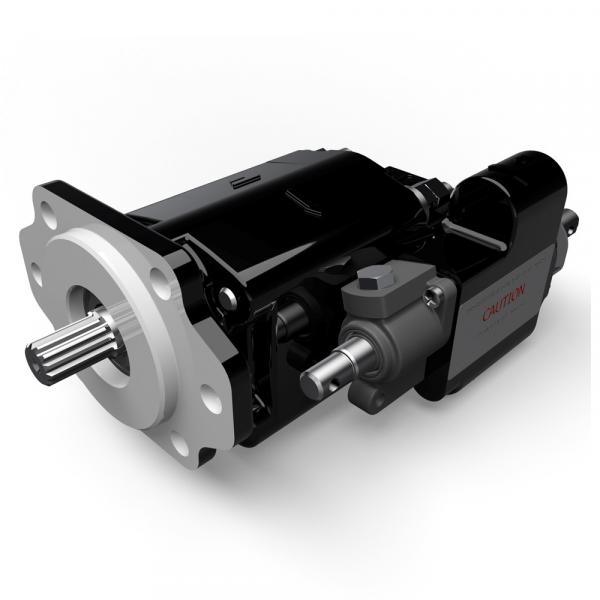 PFE-42045/3DW 20 Atos PFE Series Vane pump Imported original #1 image
